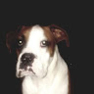 Meet your Posher, Adam